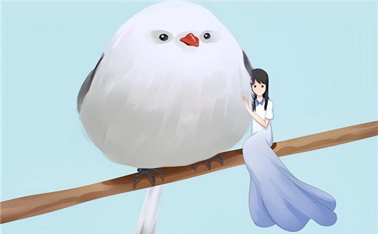 怎么在微信泡妞?微信把妹全攻略